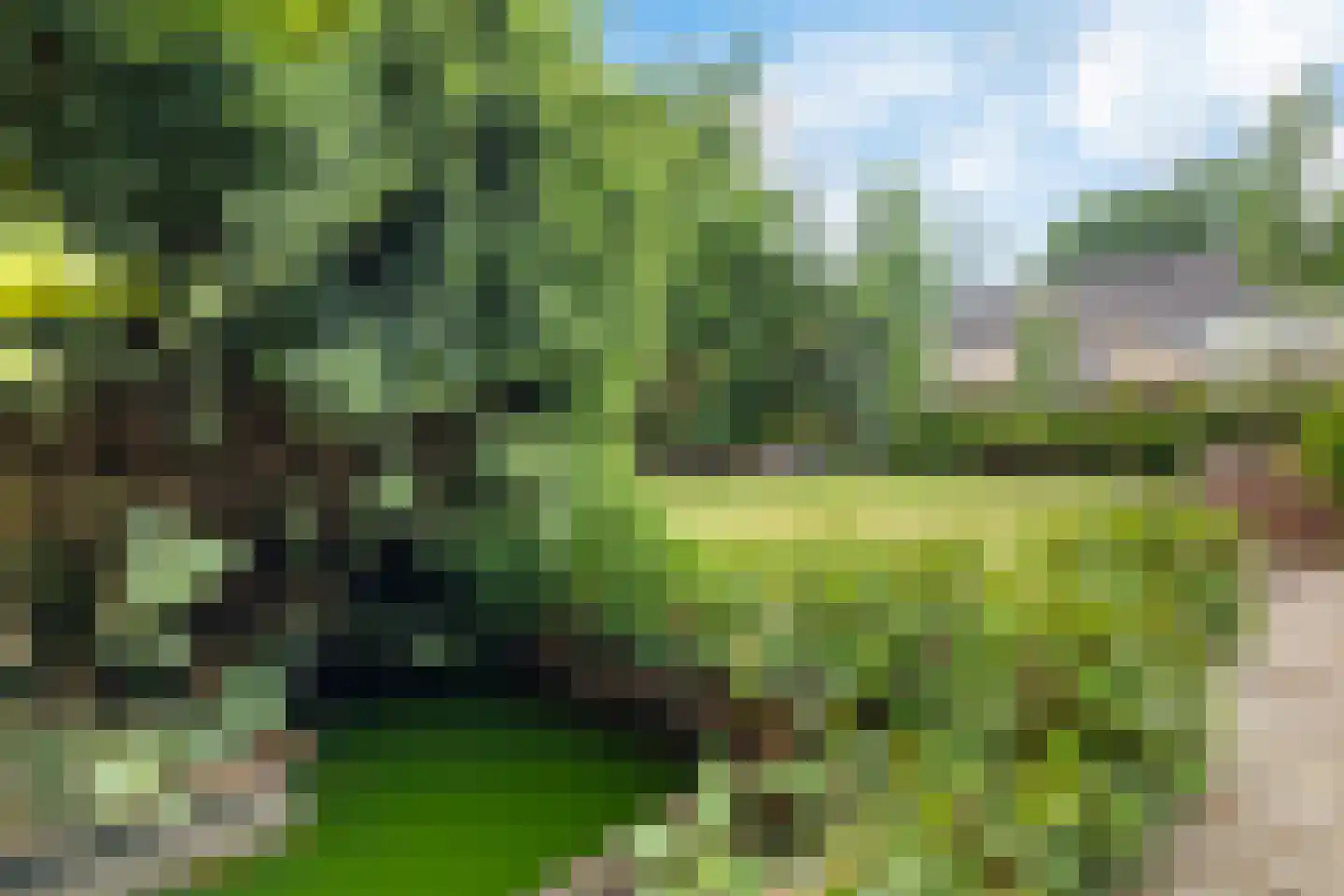Deverbrink 2 Emmen thumbnail 24