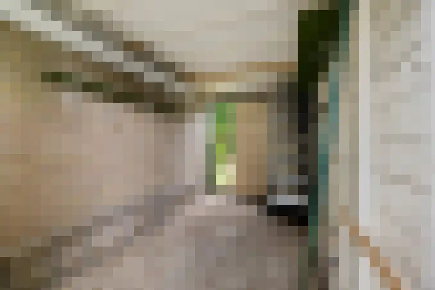 Deverbrink 2 Emmen thumbnail 39