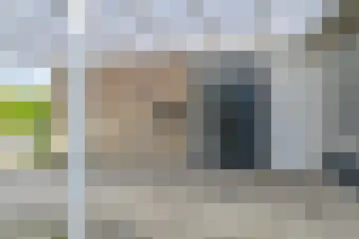 Deverbrink 26 Emmen thumbnail 10