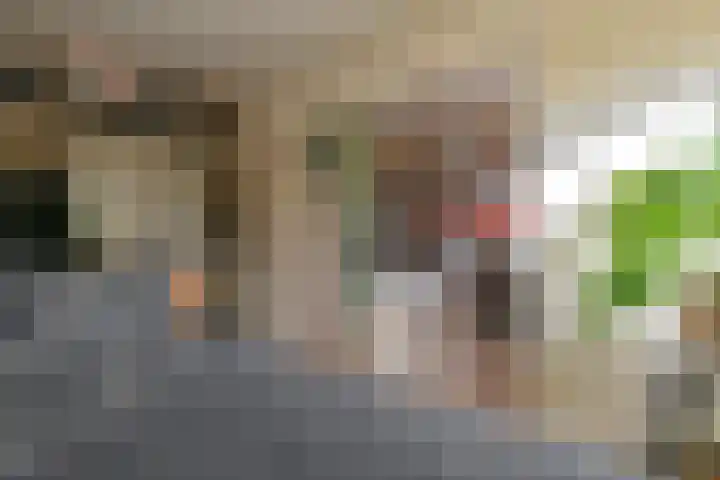 Deverbrink 26 Emmen thumbnail 39