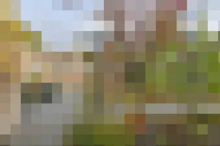 Deverbrink 26 Emmen thumbnail 44