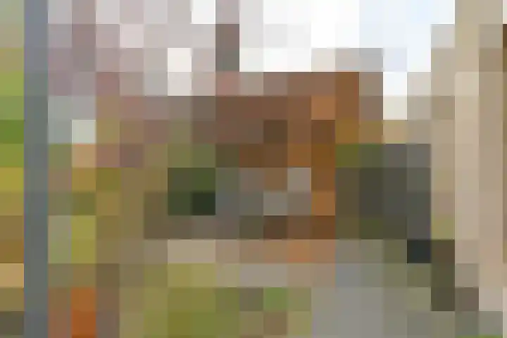 Deverbrink 26 Emmen thumbnail 46