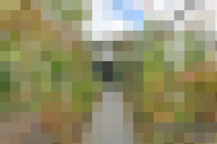 Deverbrink 26 Emmen thumbnail 48