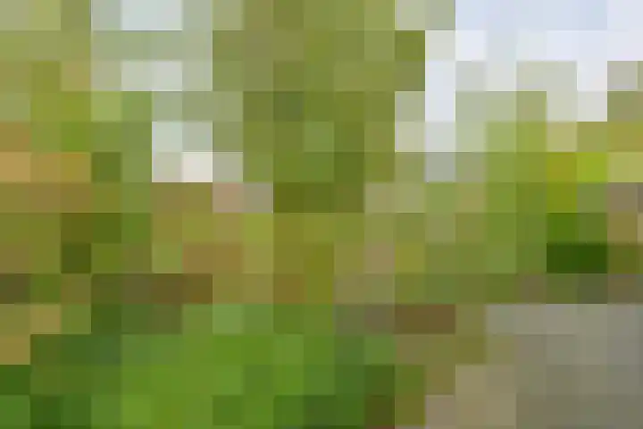 Deverbrink 26 Emmen thumbnail 49