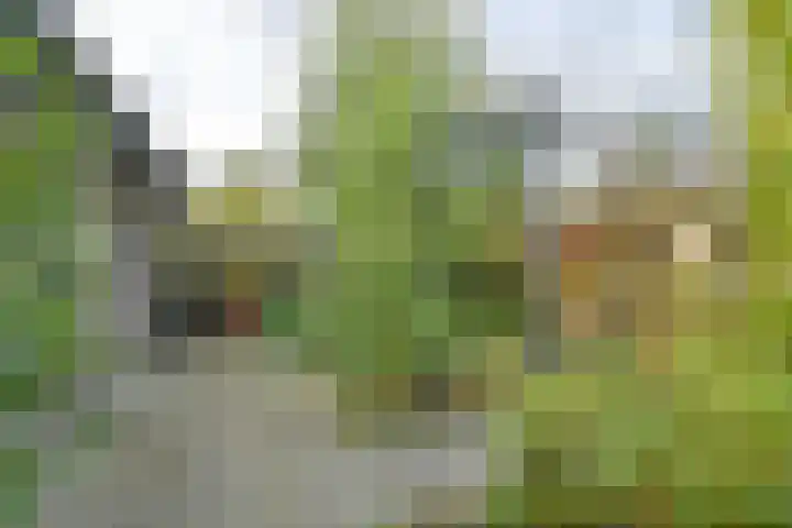 Deverbrink 26 Emmen thumbnail 51