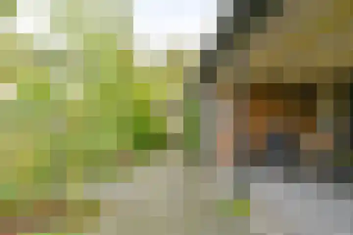 Deverbrink 26 Emmen thumbnail 53