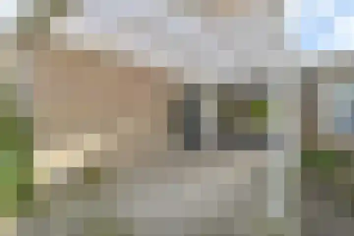 Deverbrink 26 Emmen thumbnail 8