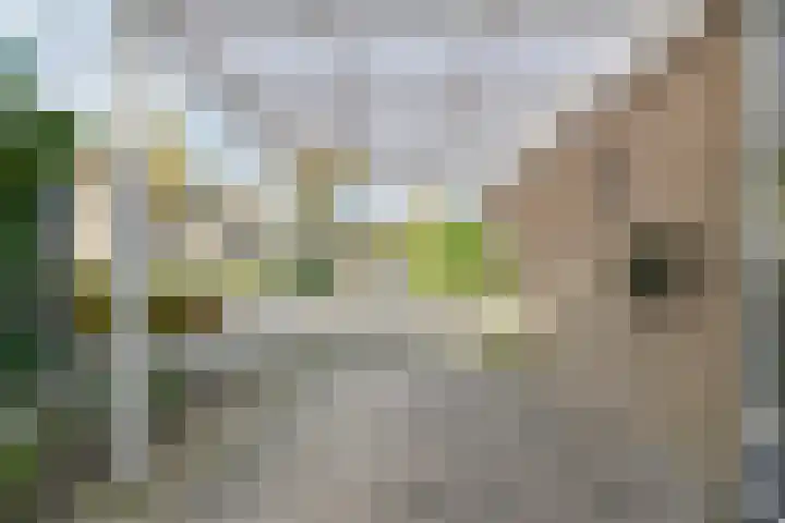 Deverbrink 26 Emmen thumbnail 9