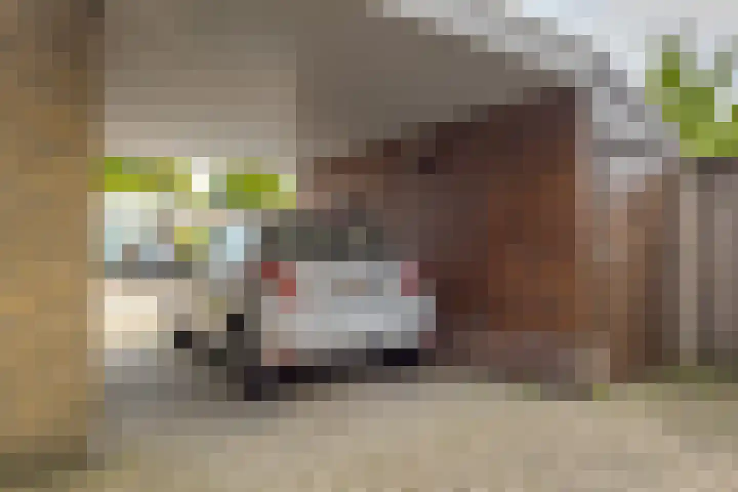 Deverbrink 49 Emmen thumbnail 11
