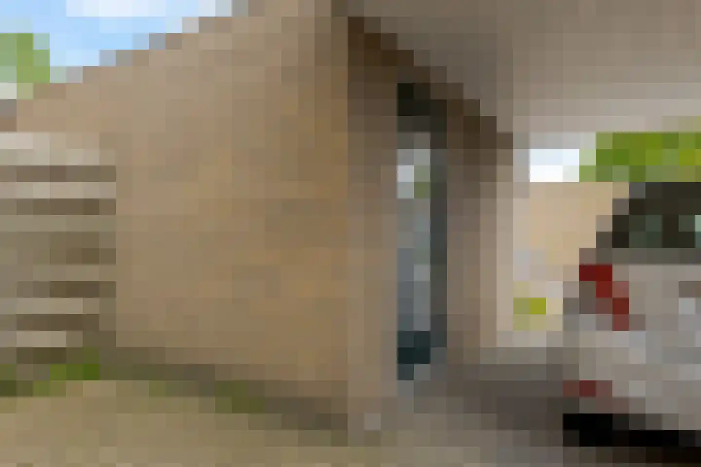 Deverbrink 49 Emmen thumbnail 12