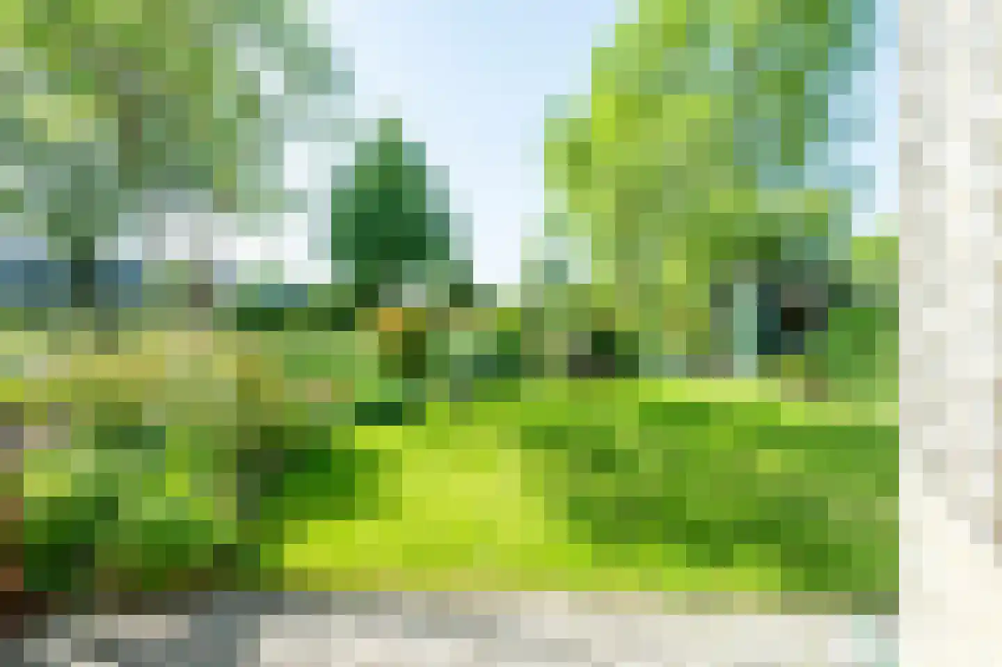 Deverbrink 85 Emmen thumbnail 25