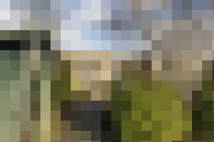 Deverbrink 87 Emmen thumbnail 30