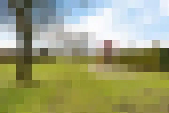 Deverbrink 87 Emmen thumbnail 40
