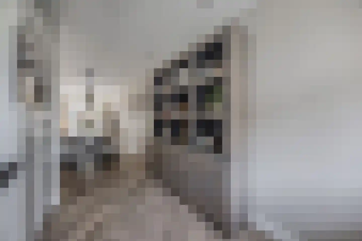 Dexter Gordonlaan 19 Beverwijk thumbnail 31