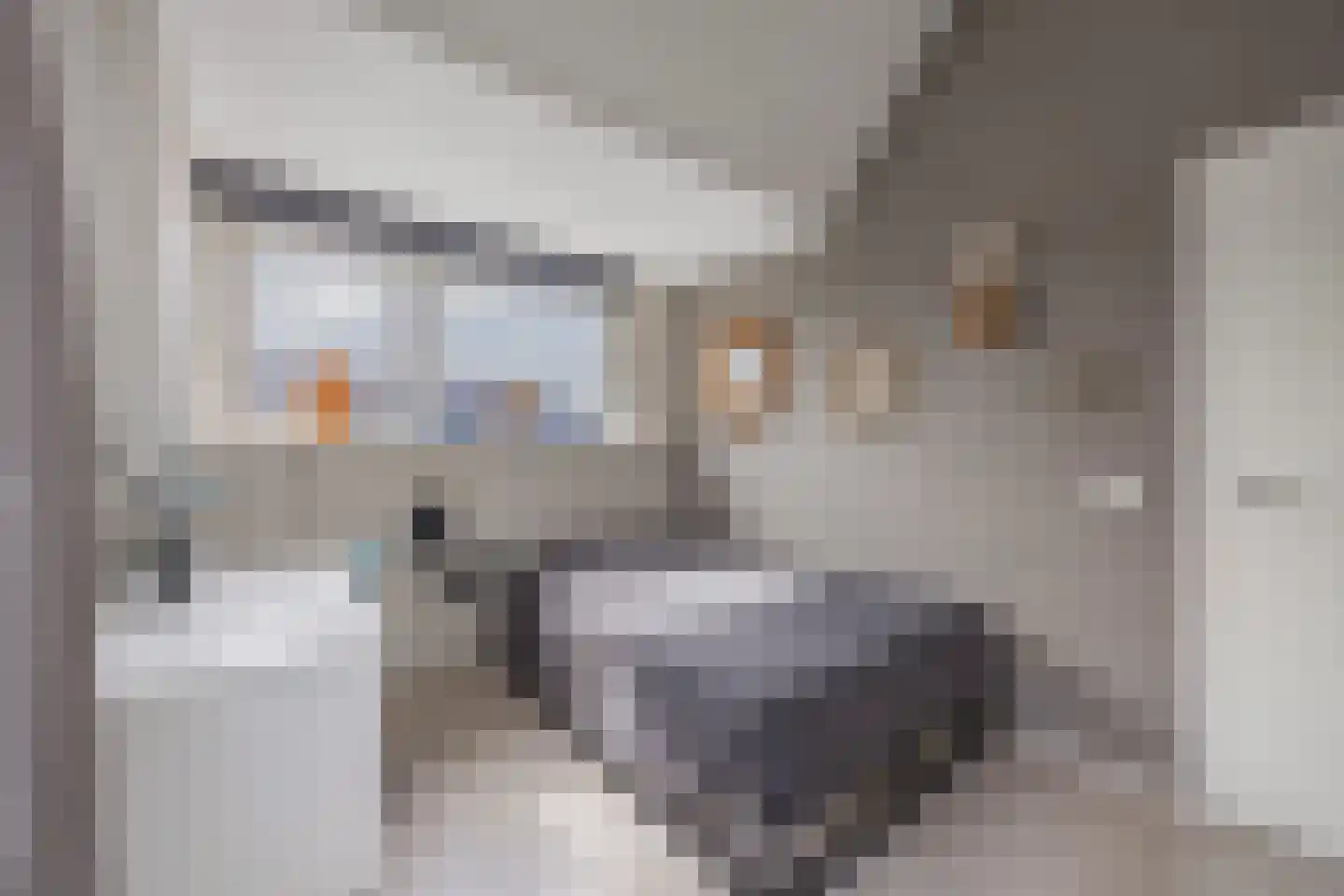 Dexter Gordonlaan 19 Beverwijk thumbnail 48