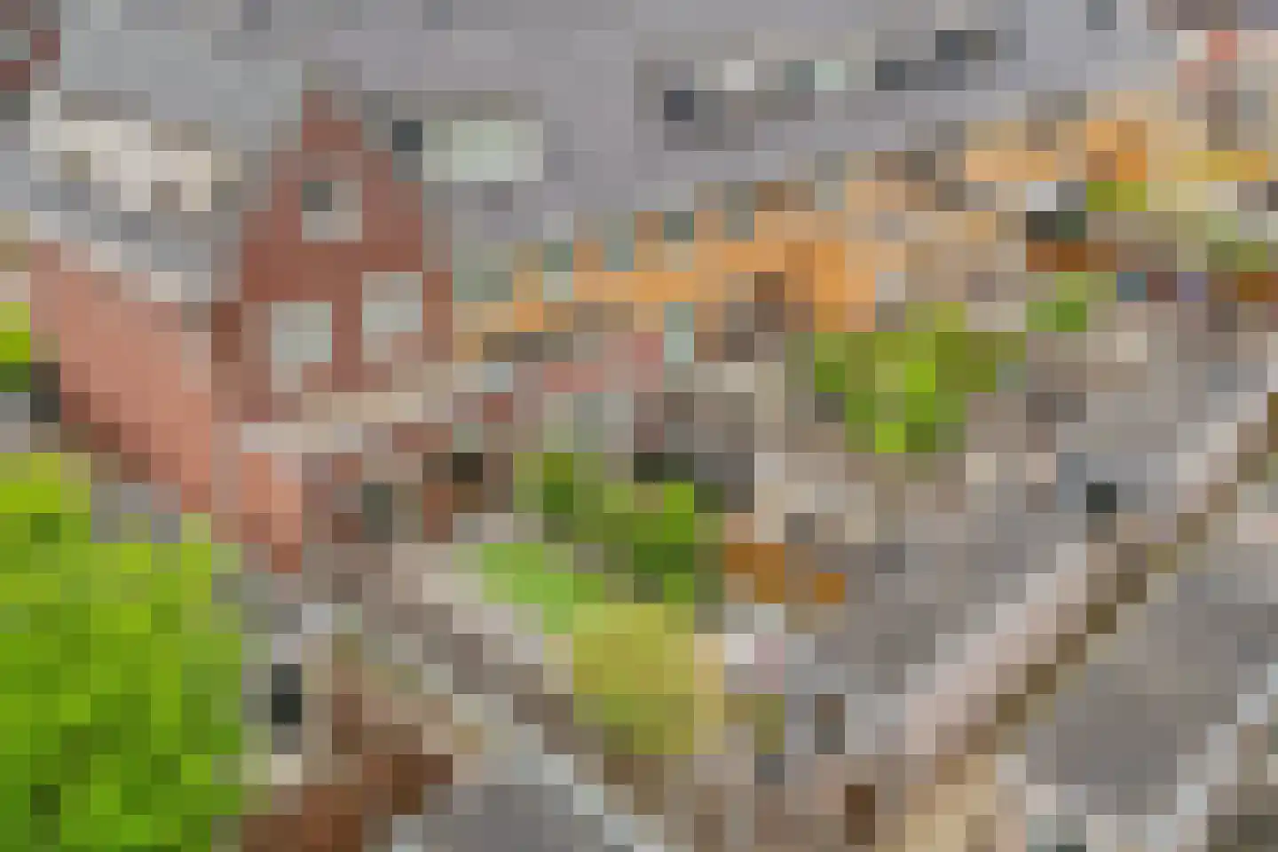 Dexter Gordonlaan 19 Beverwijk thumbnail 63
