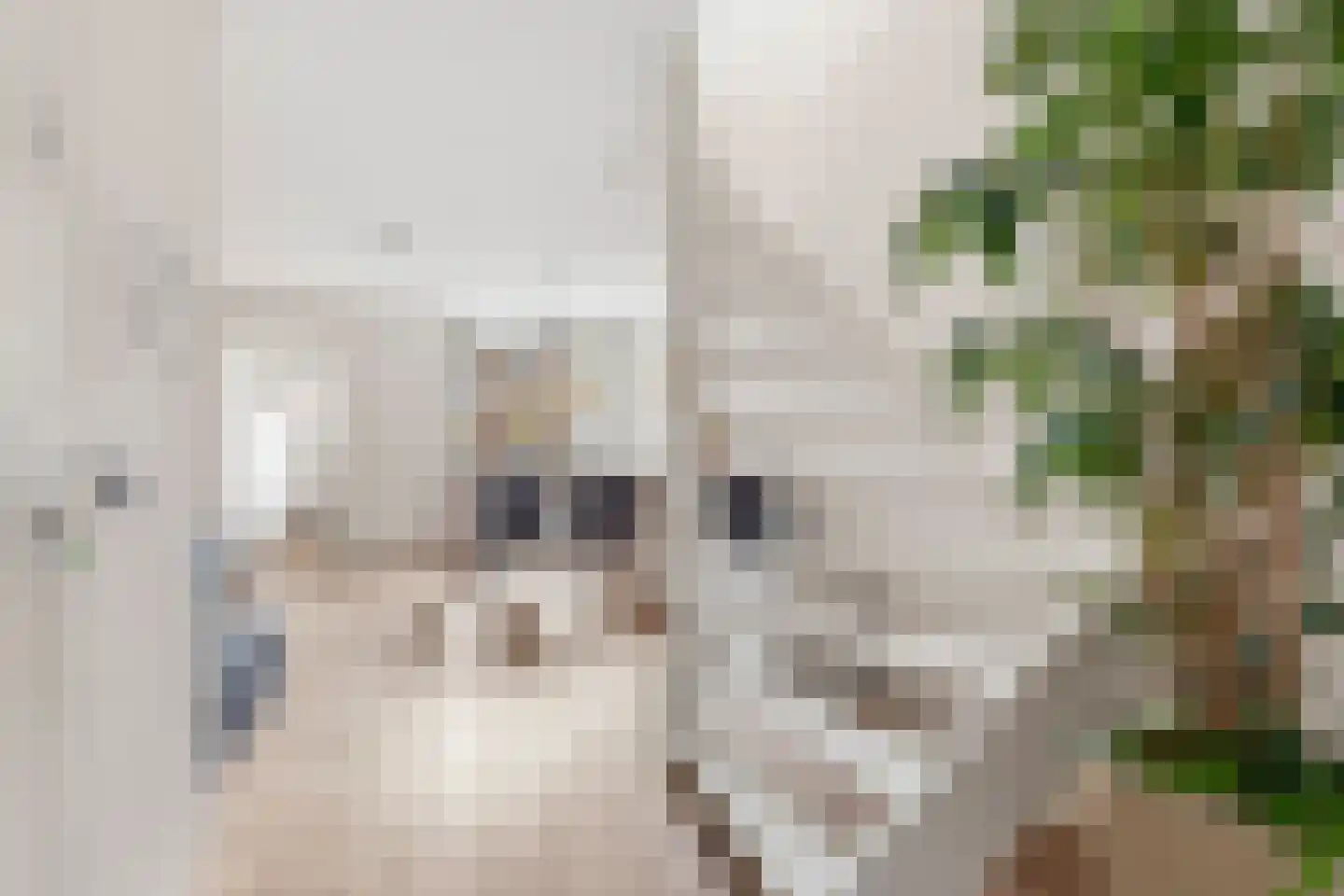 Deymanstraat 14 2 Amsterdam thumbnail 12
