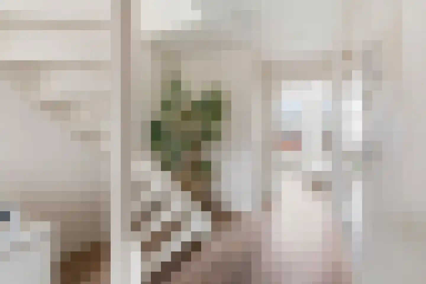 Deymanstraat 14 2 Amsterdam thumbnail 13