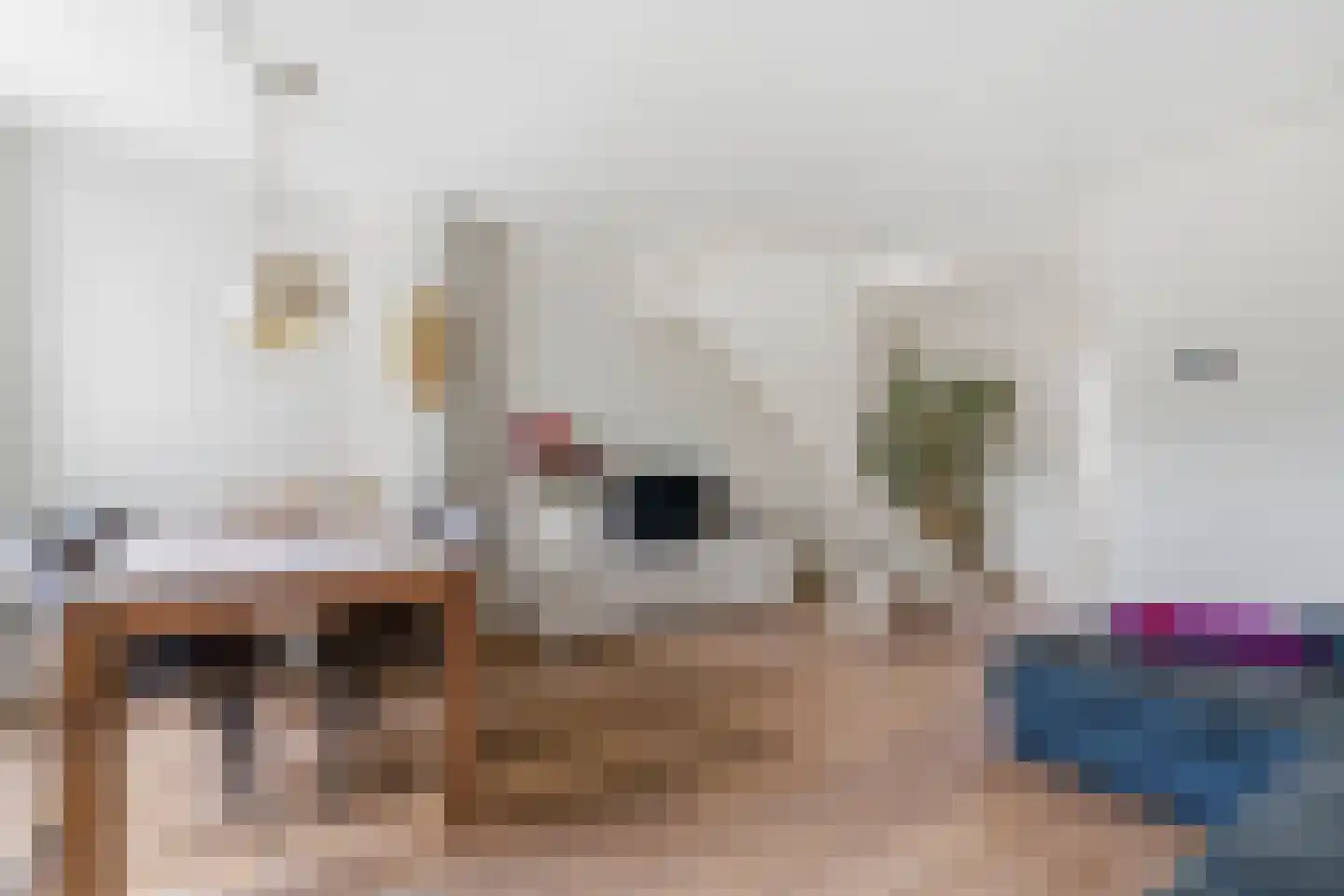 Deymanstraat 14 2 Amsterdam thumbnail 5