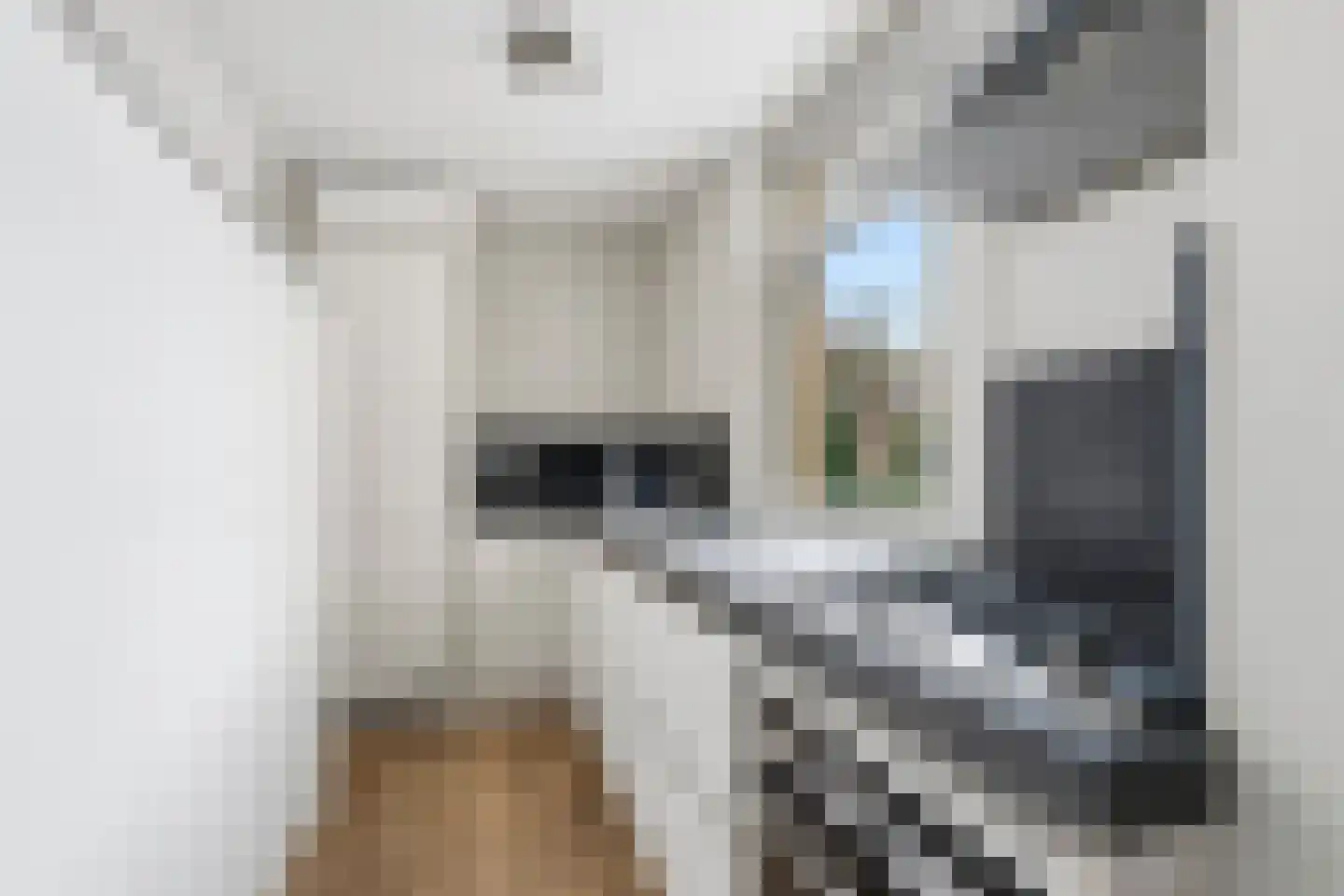 Deymanstraat 14 2 Amsterdam thumbnail 9