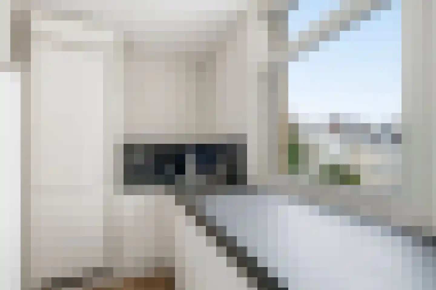 Deymanstraat 14 3 Amsterdam thumbnail 10
