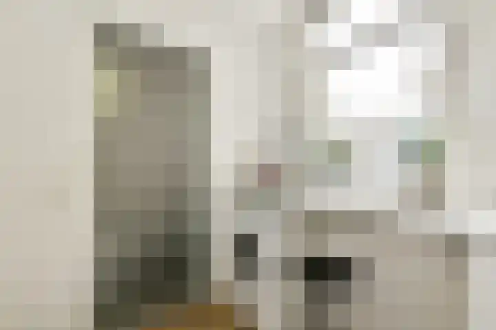 Deymanstraat 14 3 Amsterdam thumbnail 17
