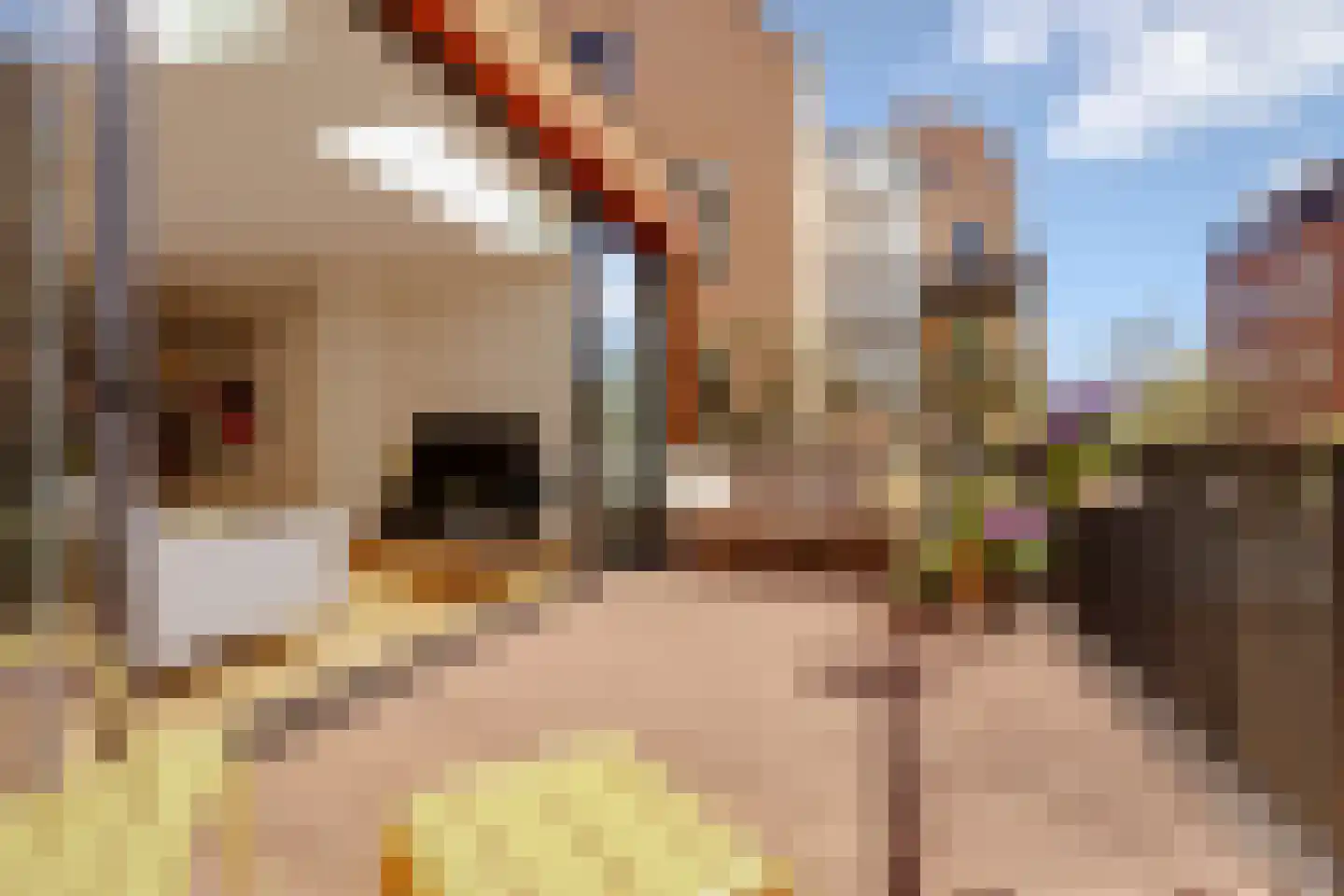 Deymanstraat 18 2 Amsterdam thumbnail 27
