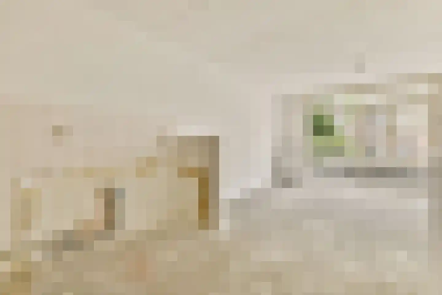 Deymanstraat 28 Amsterdam thumbnail 7