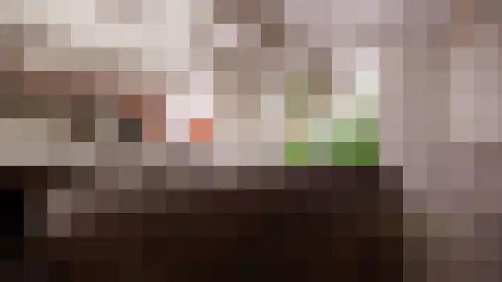 Deynenbeemd 23 Nuenen thumbnail 21