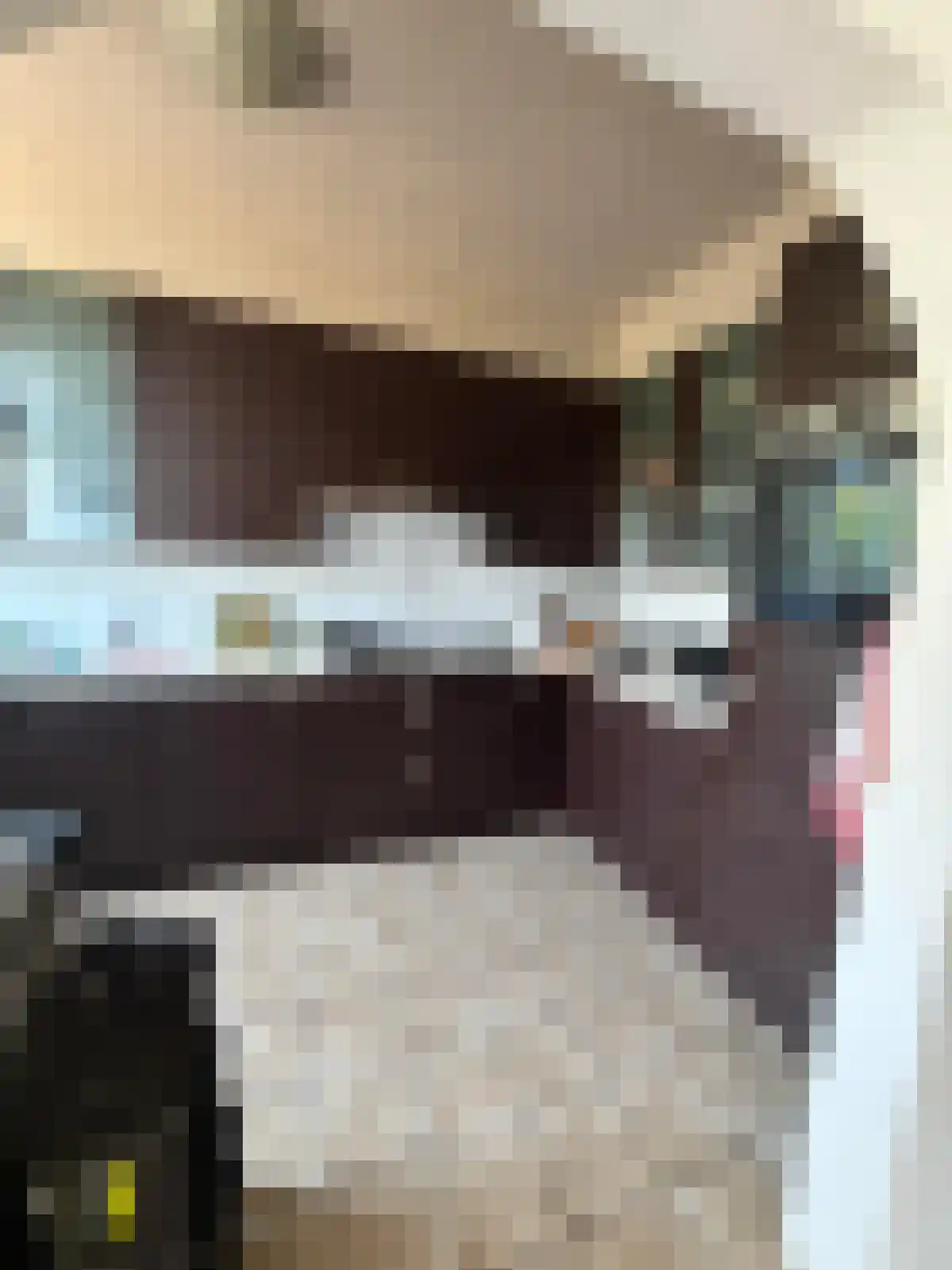 Di Cambioweg 4 Eindhoven thumbnail 6