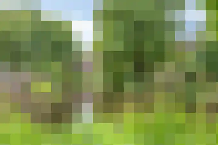 Di Lassostraat 61 Soest thumbnail 34