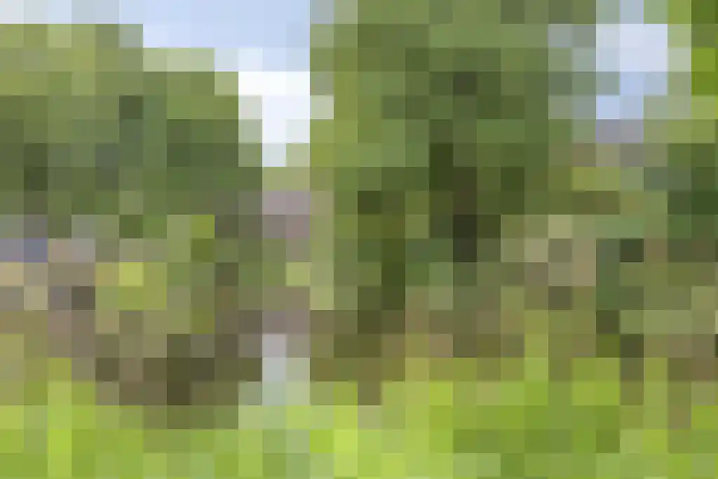 Di Lassostraat 61 Soest thumbnail 34