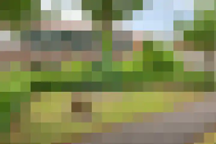 Di Lassostraat 61 Soest thumbnail 35