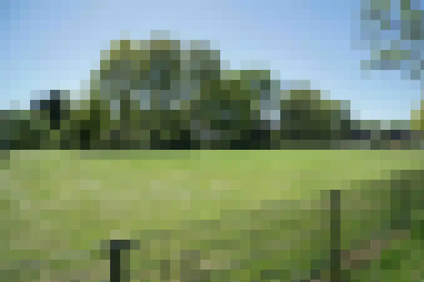 Di Lassostraat 63 Soest thumbnail 39