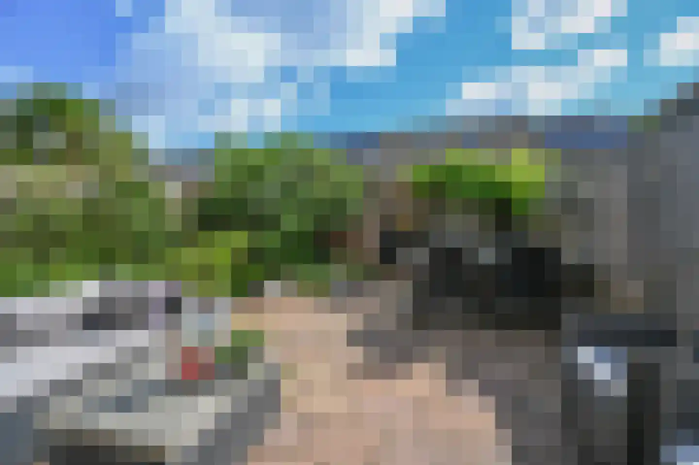 Diabaas 18 Zoetermeer thumbnail 16
