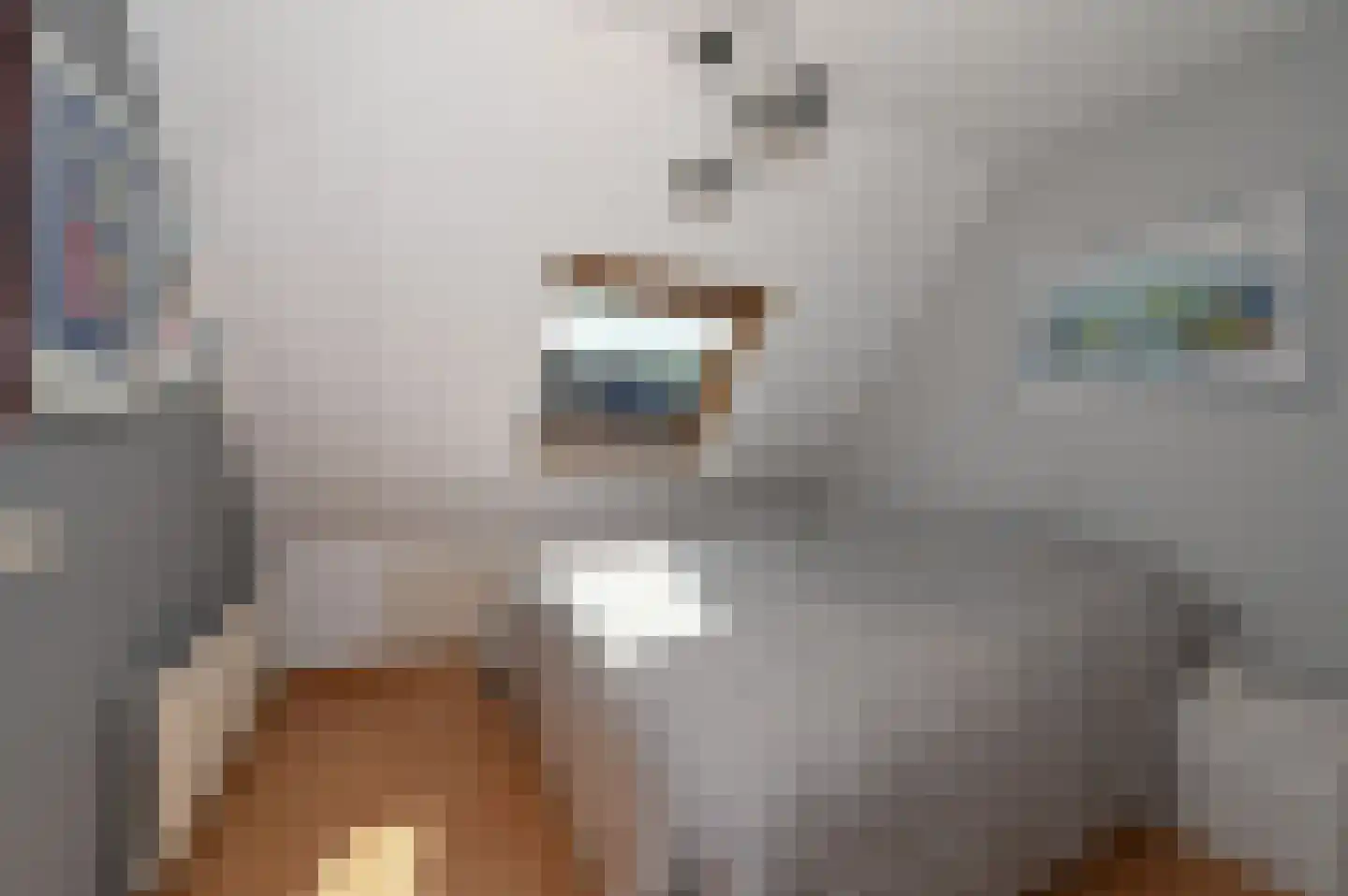 Diabaas 18 Zoetermeer thumbnail 21
