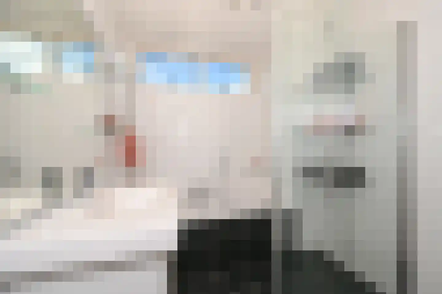 Diabaas 18 Zoetermeer thumbnail 24