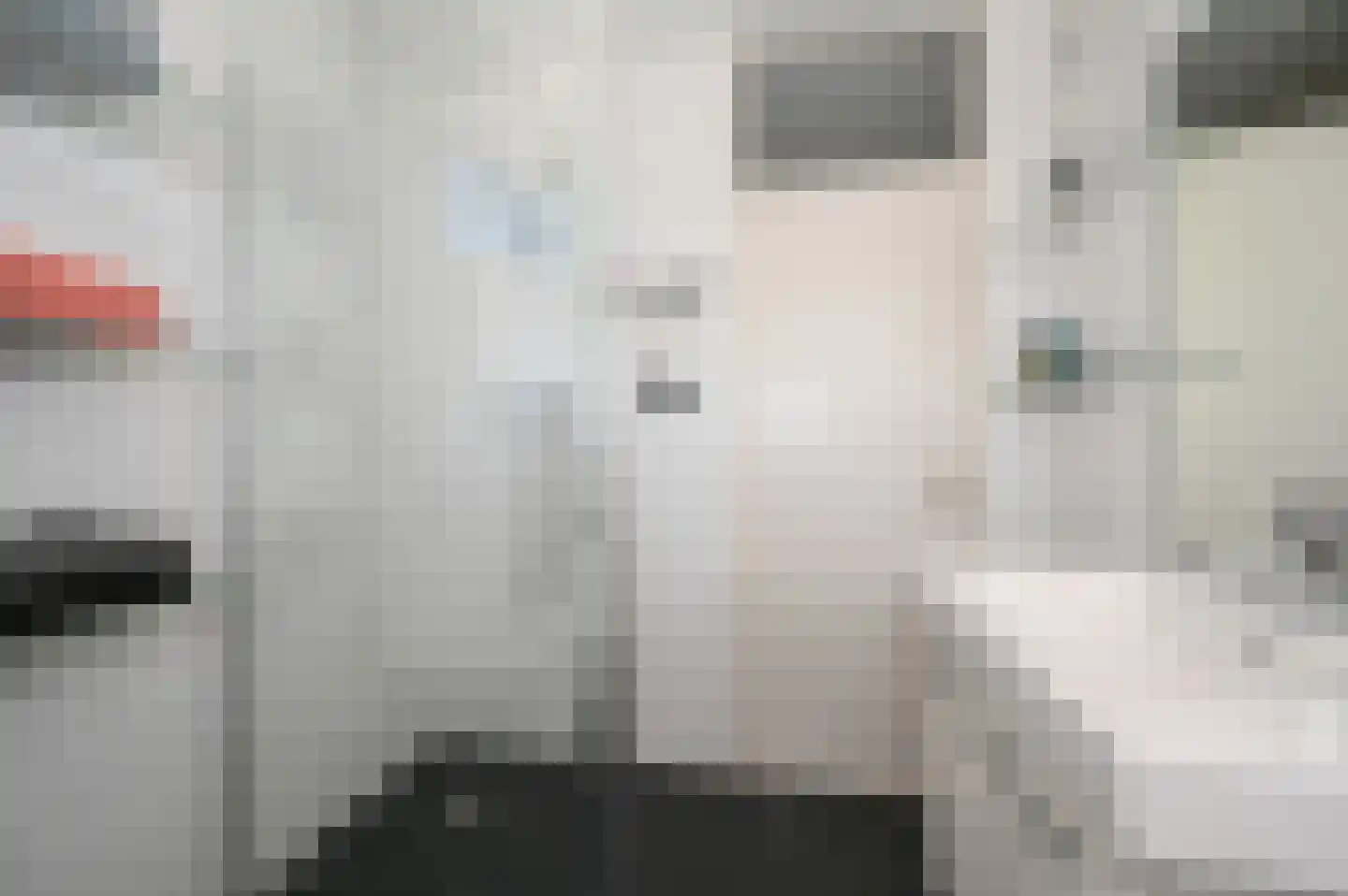 Diabaas 18 Zoetermeer thumbnail 26