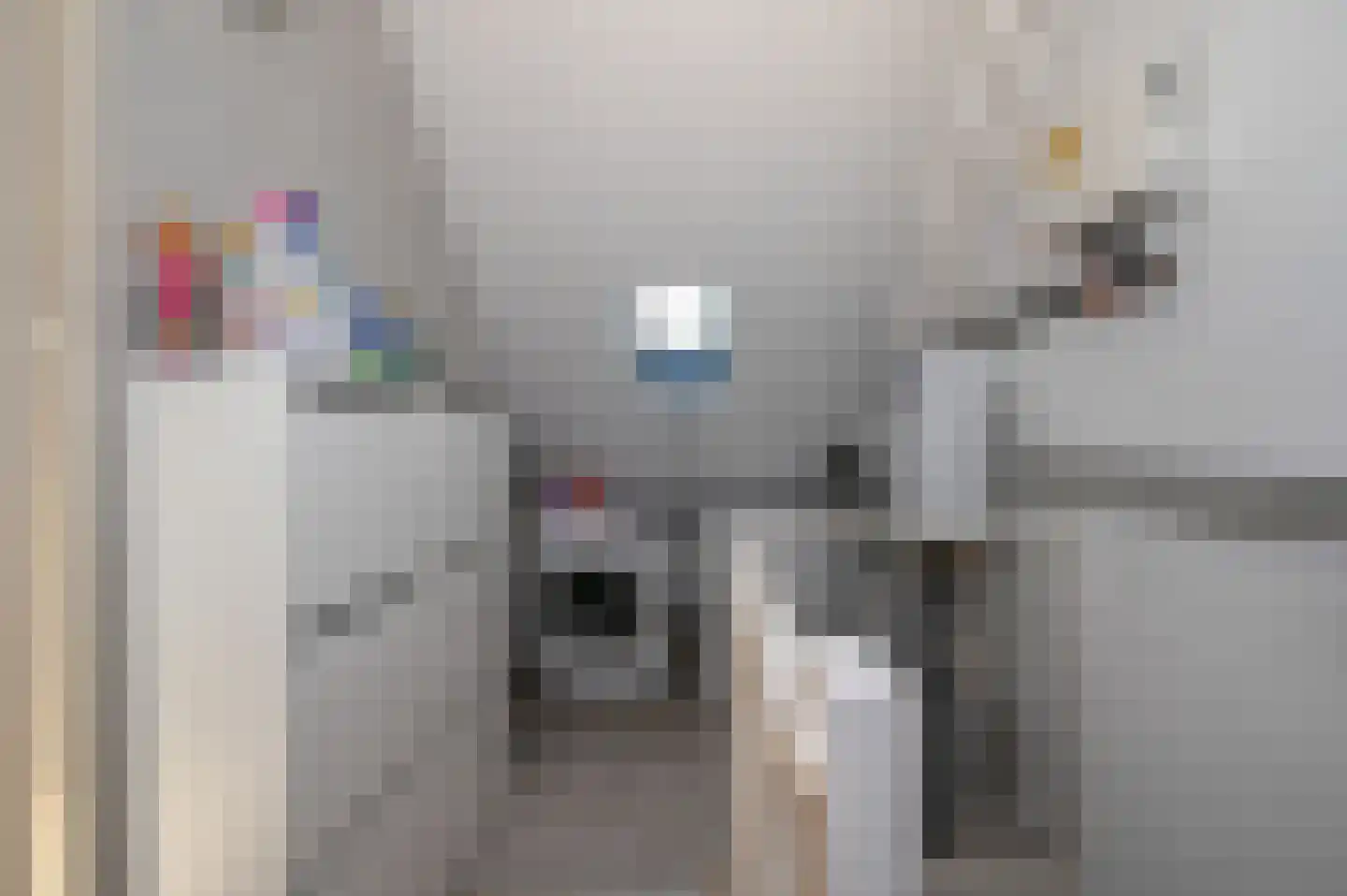 Diabaas 18 Zoetermeer thumbnail 30