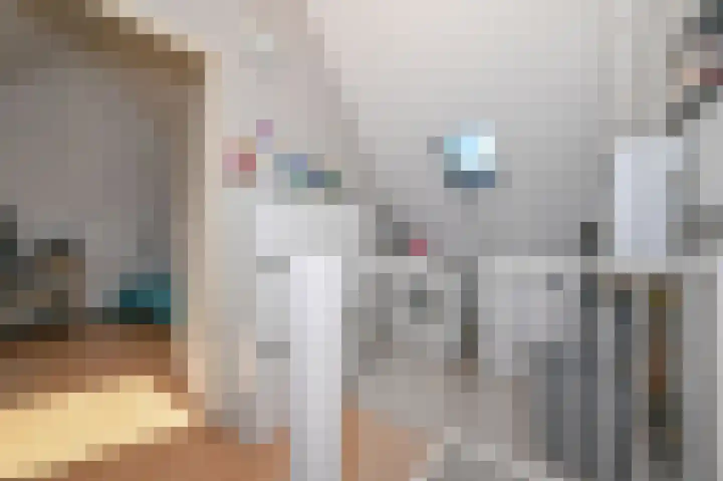 Diabaas 18 Zoetermeer thumbnail 31