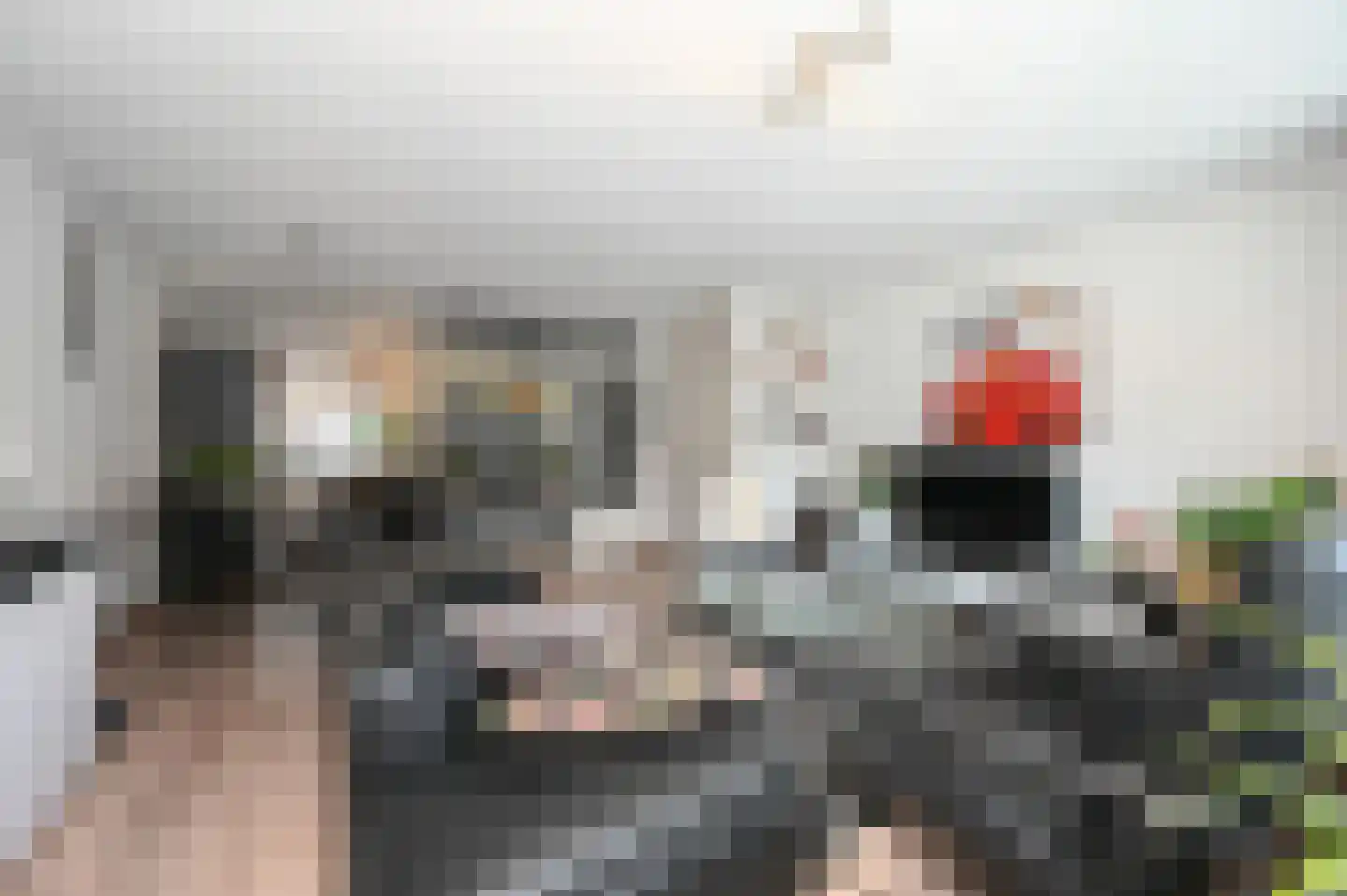 Diabaas 18 Zoetermeer thumbnail 4