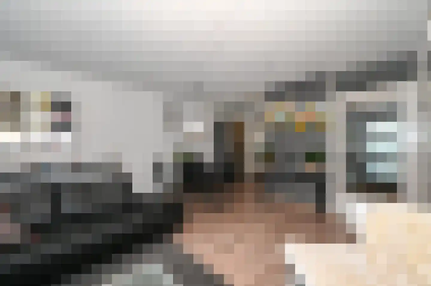 Diabaas 18 Zoetermeer thumbnail 5