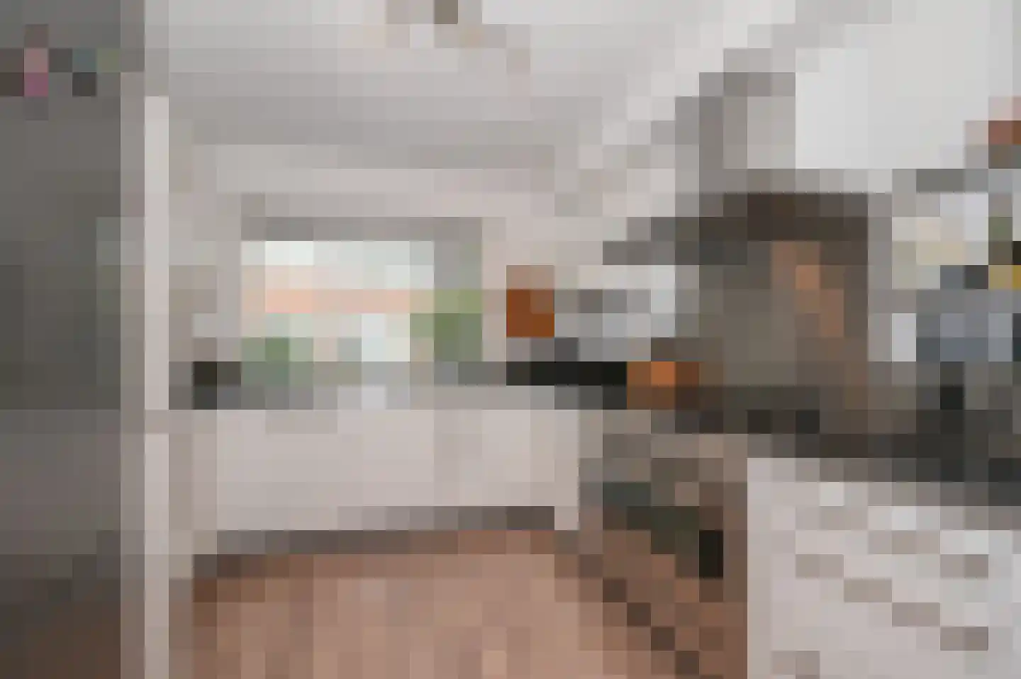 Diabaas 18 Zoetermeer thumbnail 7
