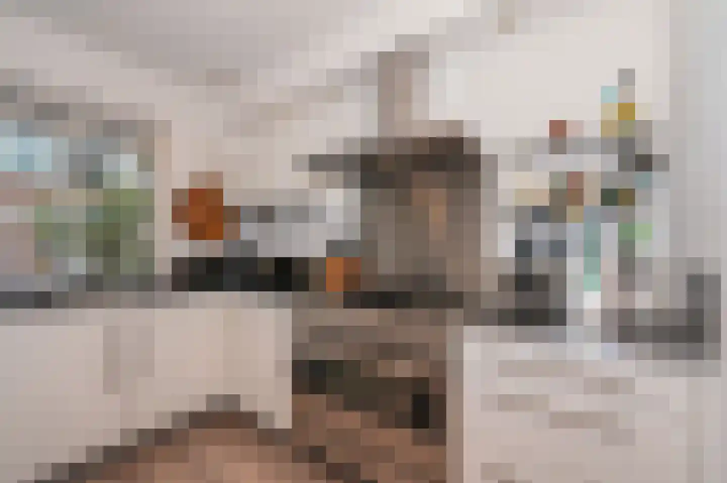 Diabaas 18 Zoetermeer thumbnail 8