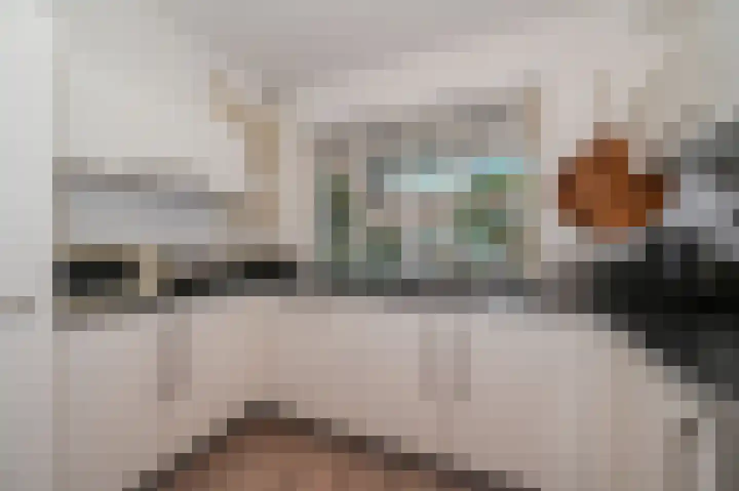Diabaas 18 Zoetermeer thumbnail 9