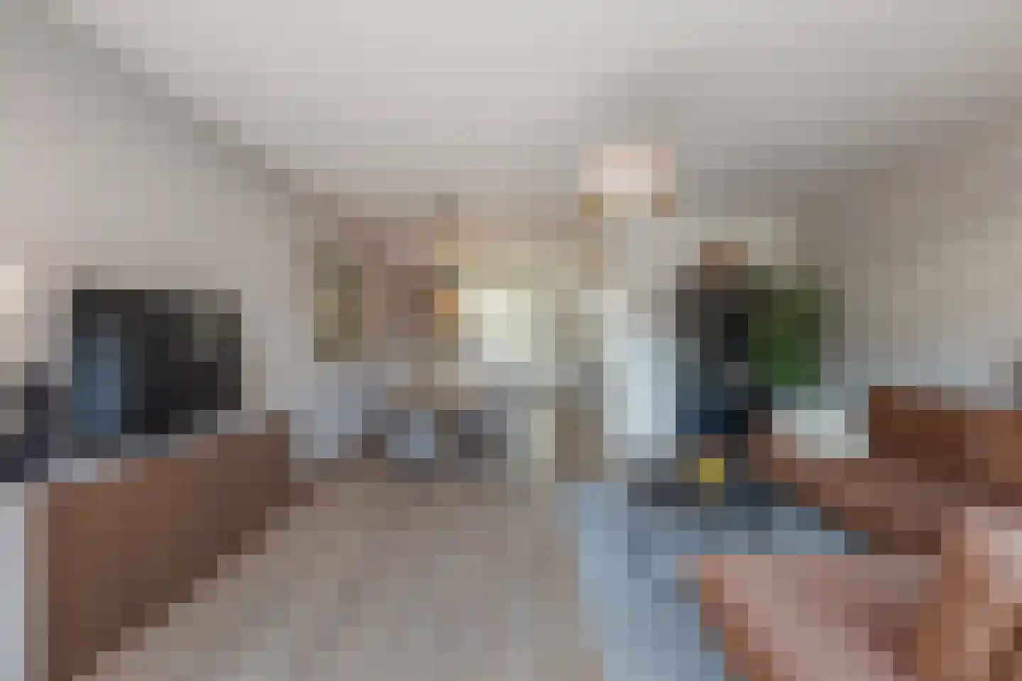 Diabellistraat 15 Eindhoven thumbnail 20