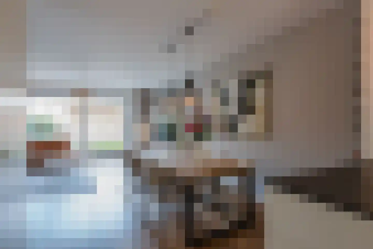 Diabellistraat 15 Eindhoven thumbnail 24