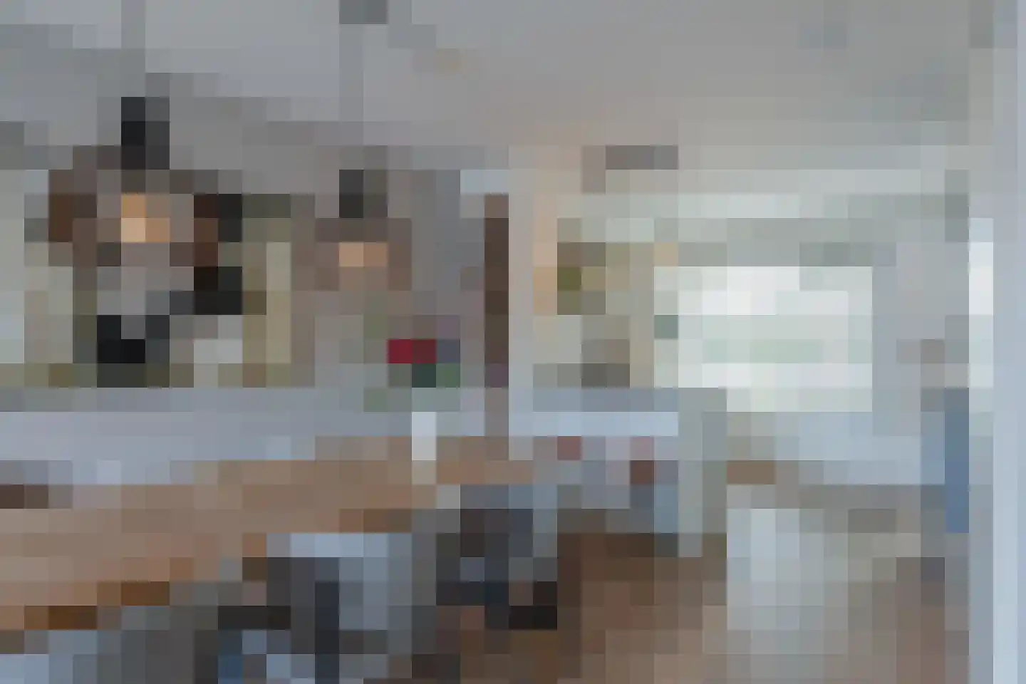 Diabellistraat 15 Eindhoven thumbnail 25