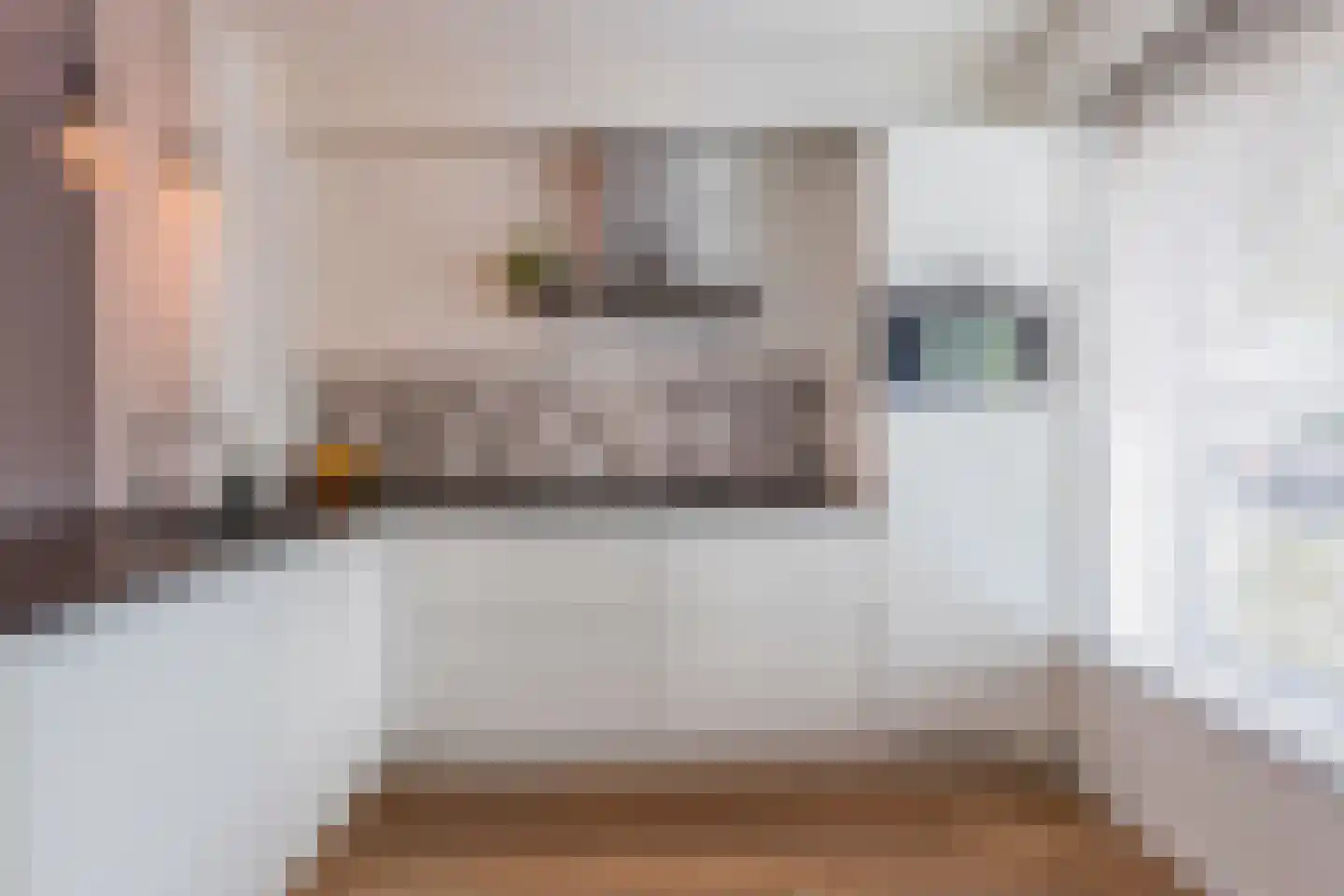 Diabellistraat 15 Eindhoven thumbnail 27