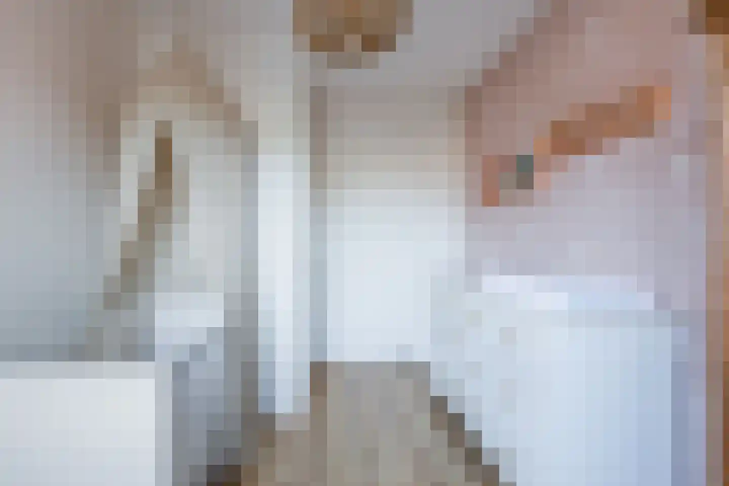 Diabellistraat 15 Eindhoven thumbnail 37